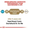 Royal Canin Dachshund Adult Dry Dog Food