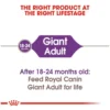Giant Breed Adult Dry Dog Food